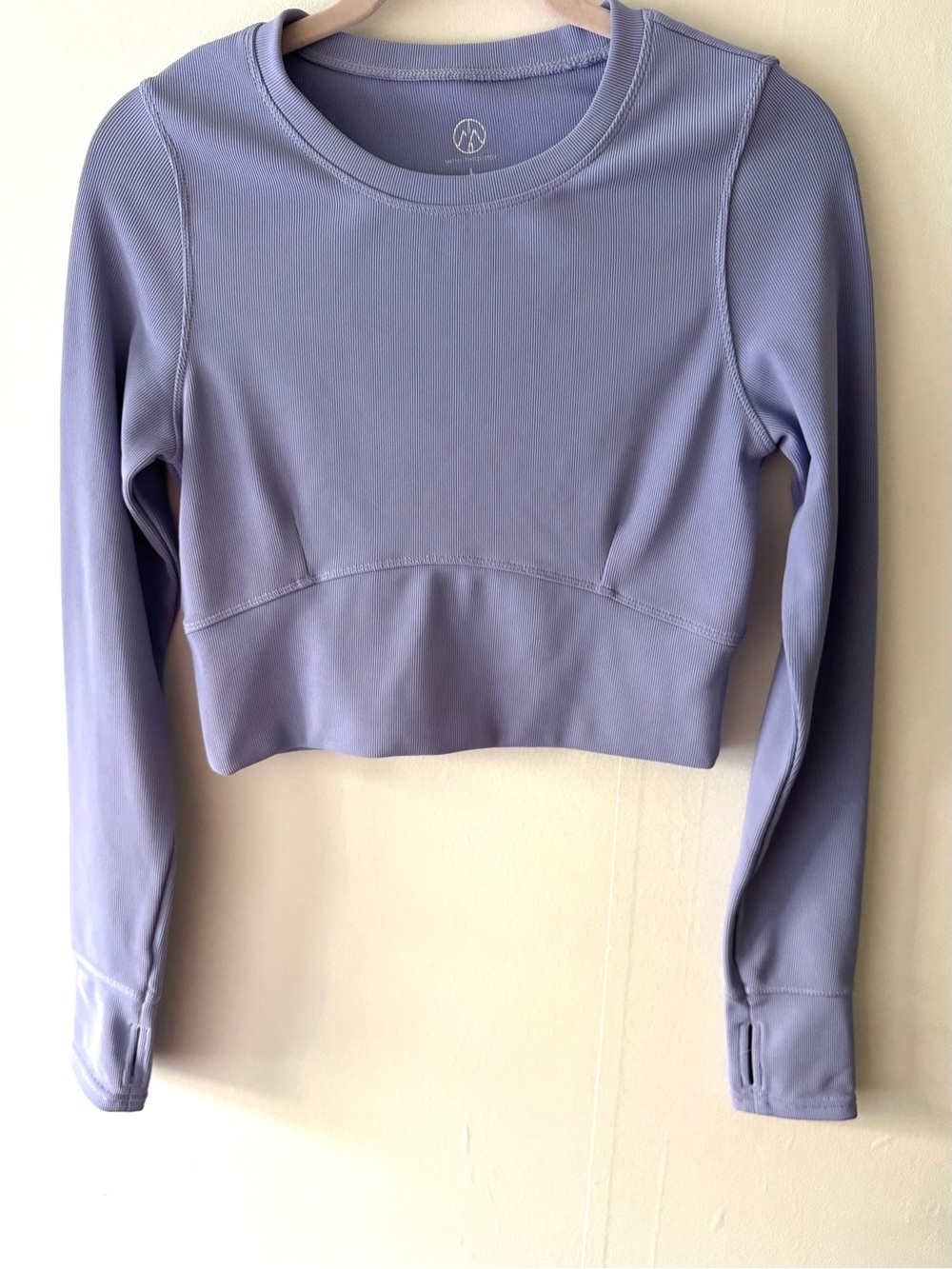 Move Theology Cropped Lavender Active Long-Sleeve Top